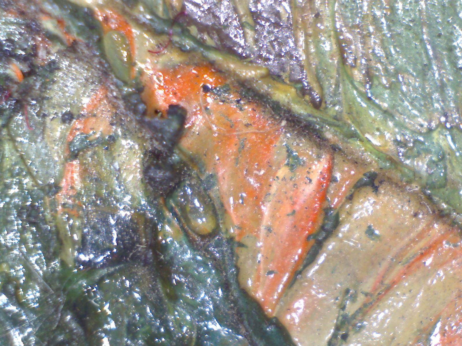 Microcosmo - 1